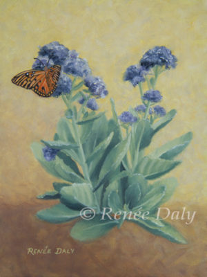 Monarch butterfly on the flower of a sedum plant.
